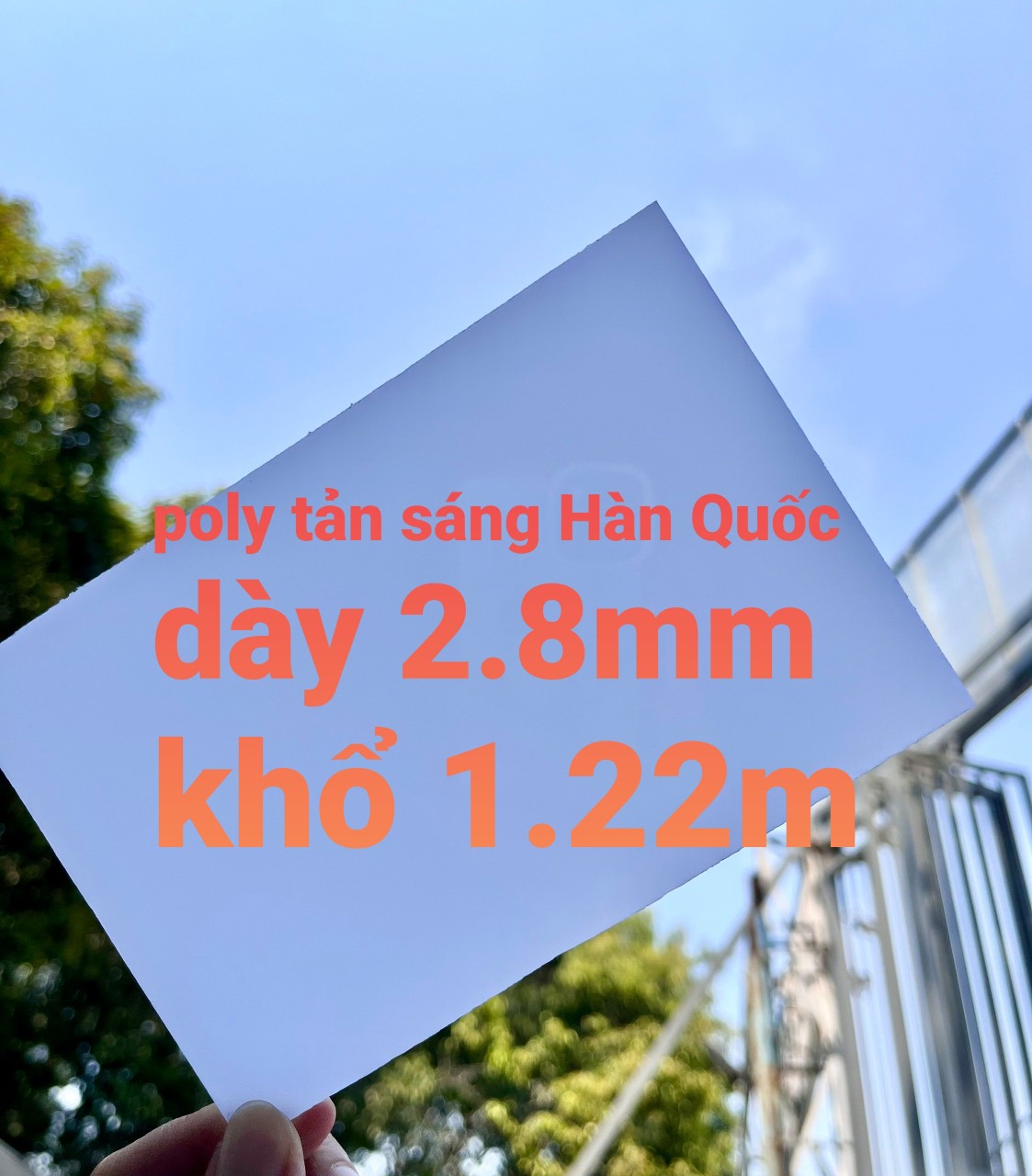 poly tản sáng tại tphcm